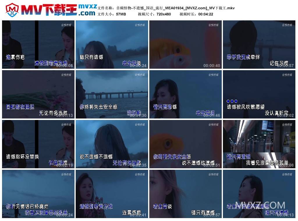 音频怪物-不遗憾_国语_流行_MEA01934